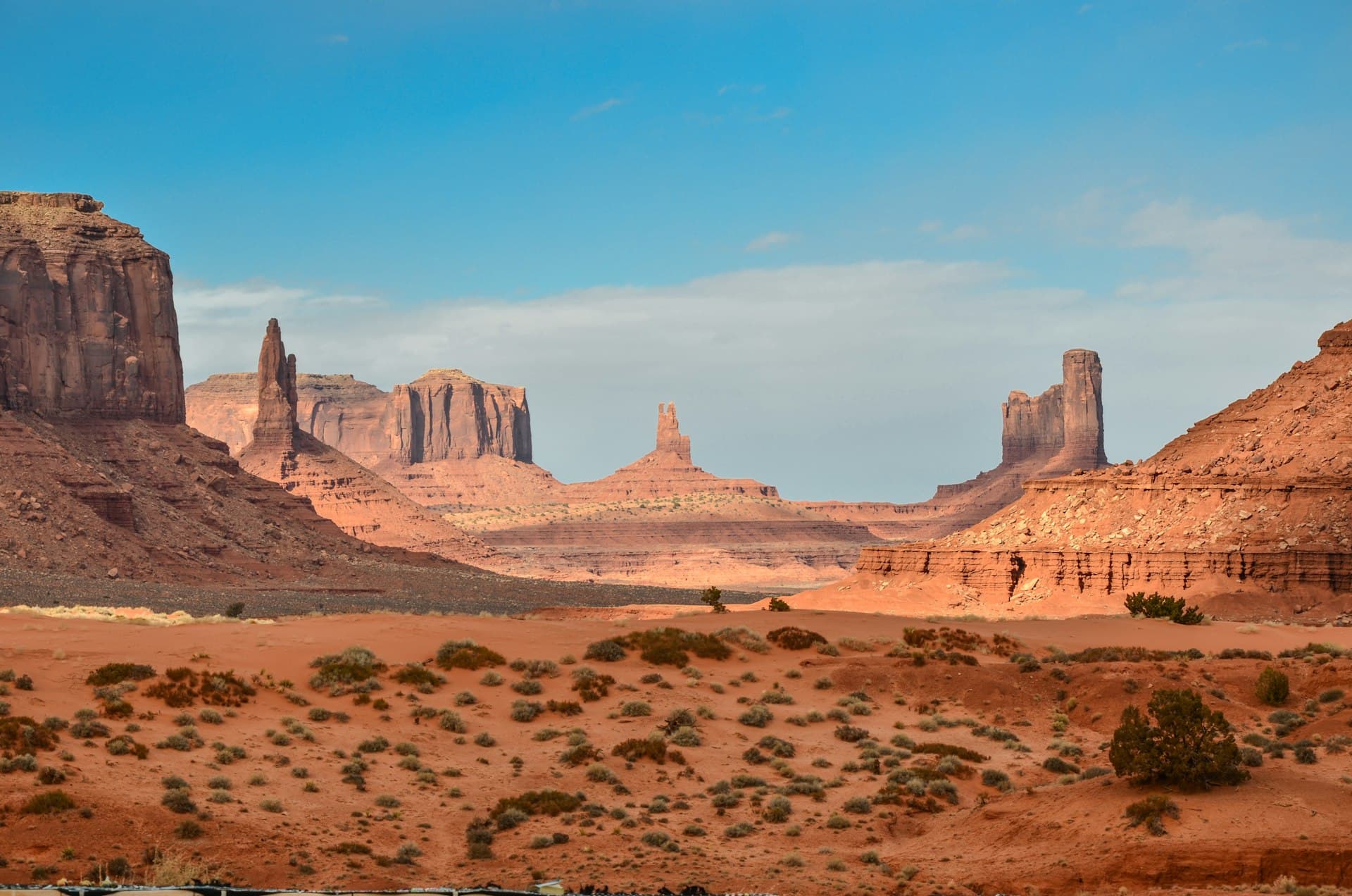 Arizona desert landscape with saguaro cacti